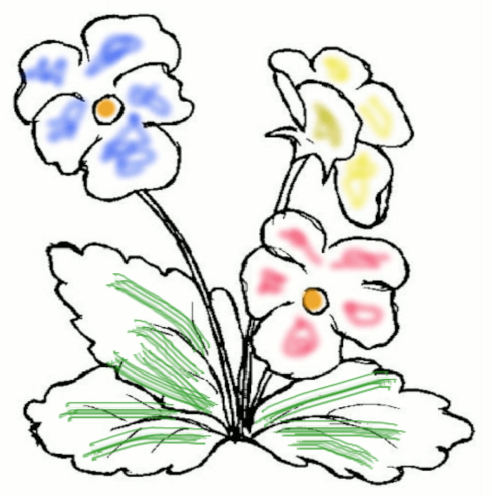 Flower graphic, so not tea or coffee then