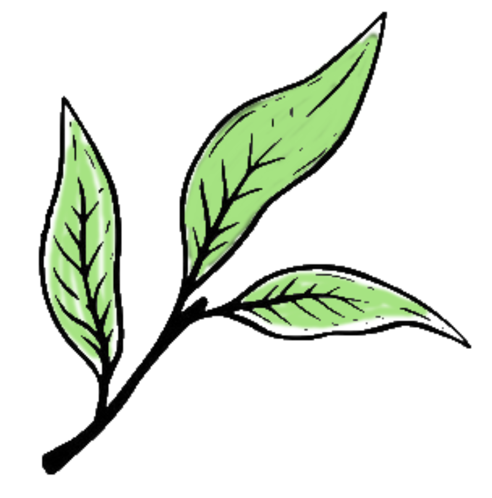 Classic graphic of a leaf which may or may not be tea
