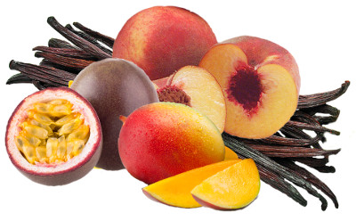 just a sad holding image of a bud and two leaves